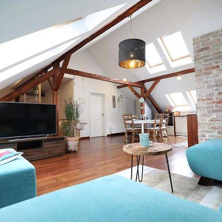 Beautiful And Romantic Penthouse With Two Terraces 布拉迪斯拉发 外观 照片
